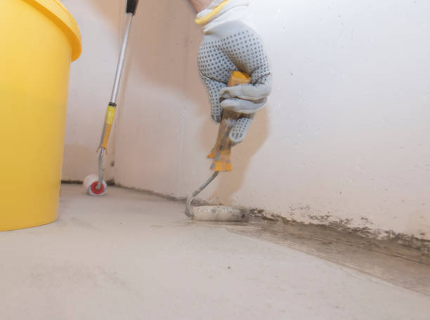 Best Pest Exclusion Services  in Ocean City, NJ